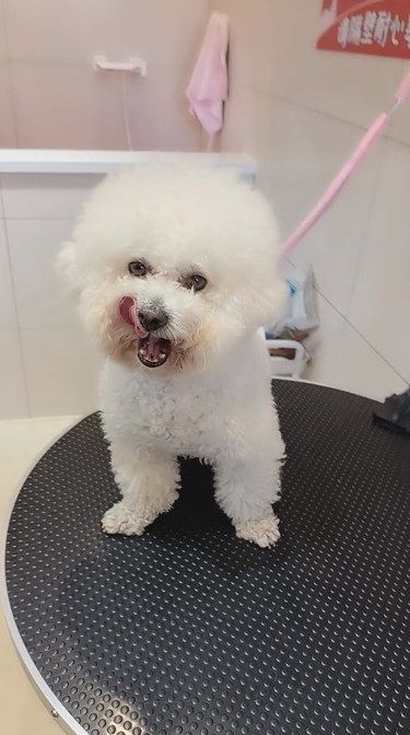 宝藏店铺太爱了