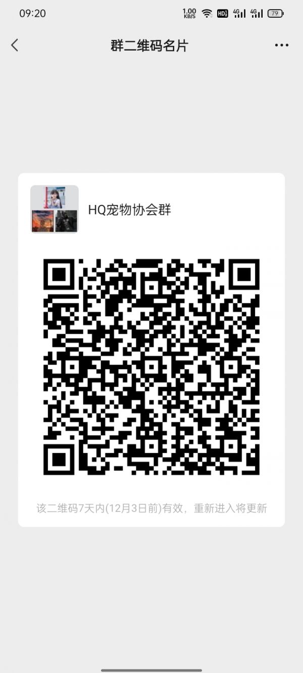 霍邱县宠物交流群