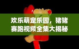 欢乐萌宠乐园，猪猪赛跑视频全集大揭秘