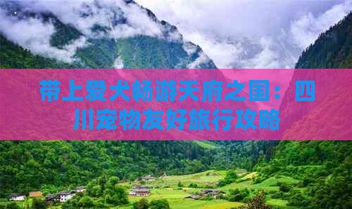 带上爱犬畅游天府之国：四川宠物友好旅行攻略