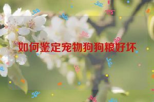 如何鉴定宠物狗狗粮好坏