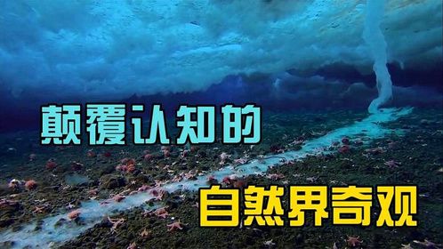 地球上8大自然奇观，你最想去哪个地方