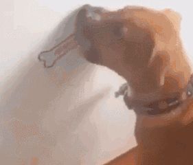 3.gif