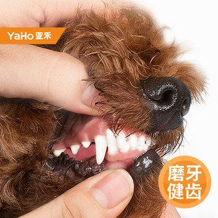 亚禾狗狗磨牙棒骨头耐咬除口臭狗零食泰迪小型犬洁齿棒狗咬胶