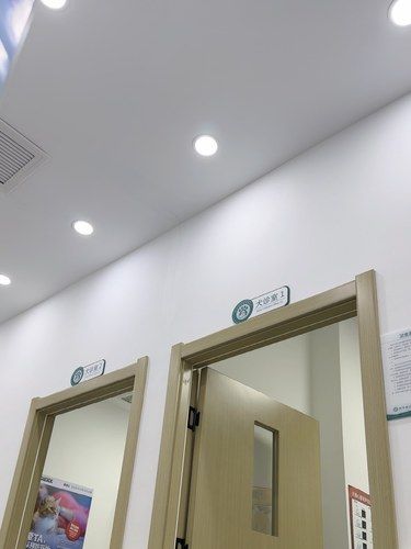 带着毛孩子体检的一天