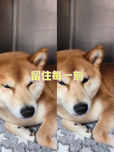 心里暖暖的陪诊记