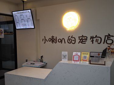 健康先行～猫咪护理