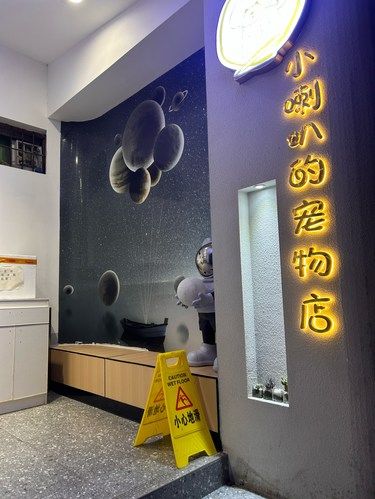 带加菲来洗香香了