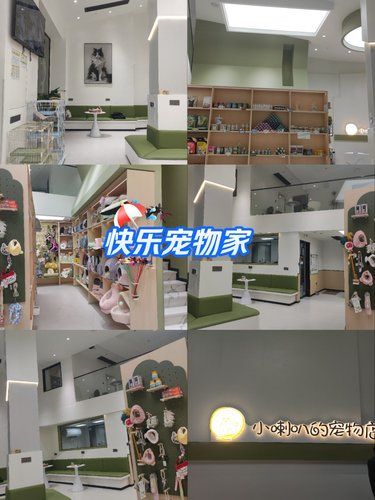 花溪也有小喇叭啦
