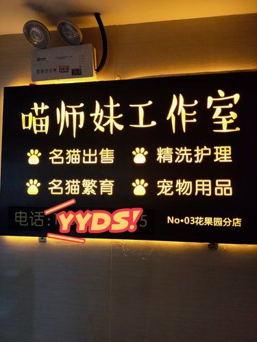 猫咪控的天堂！