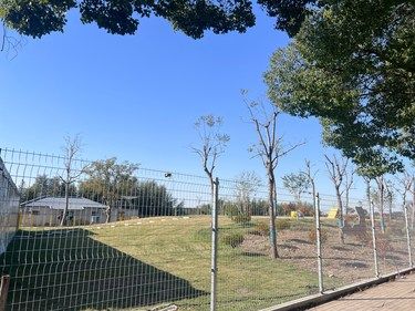 家人、宠物一起去溜圈