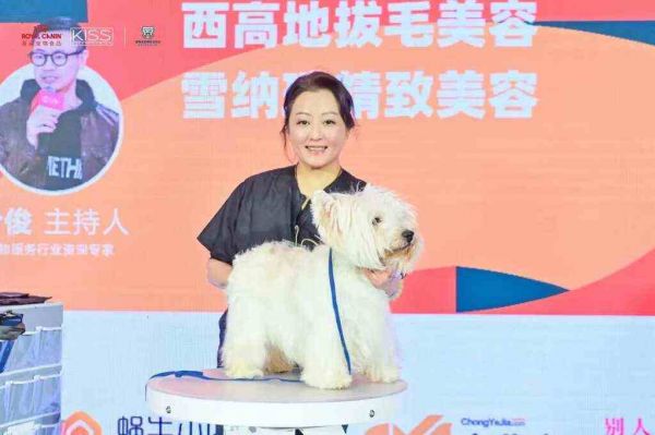 技术展现与职业规划,看“不拘一格”的宠物美容师如何探索前路