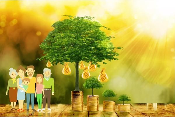 《鹦鹉保健指南：为您的宠物鹦鹉提供全方位的健康保障》图1