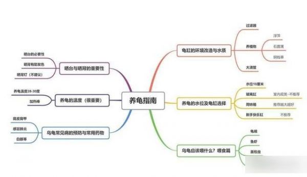 养龟半个月，我龟缸水总两三天变脏变臭，龟缸都需要什么配置-有驾