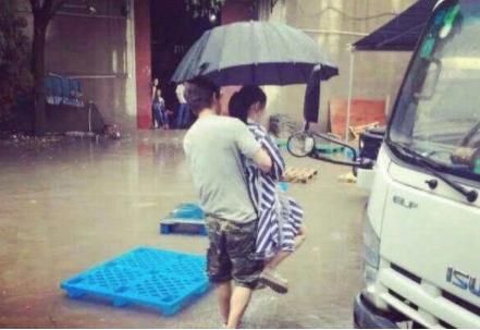 中宠教育培训详解，专业成长与技能提升之道 第2张