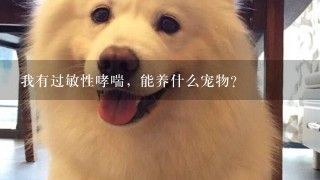 我有过敏性哮喘，能养什么宠物？