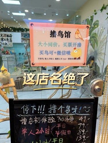 这店名一个字—绝