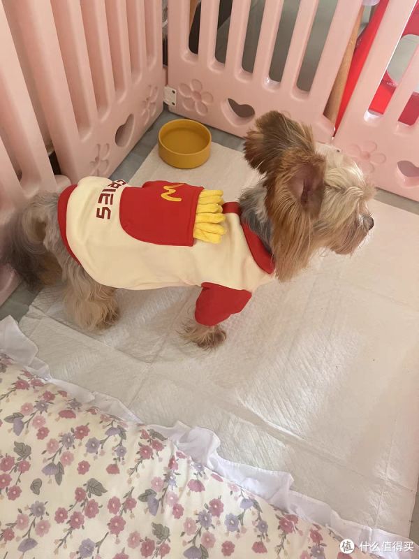 养狗秘诀