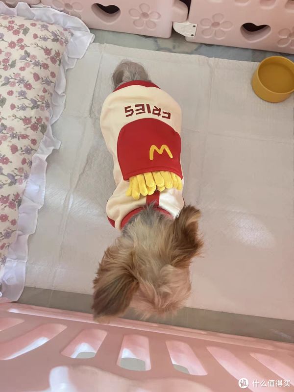 养狗秘诀