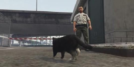 侠盗猎车手5宠物狗可以养吗？怎么和宠物狗玩？