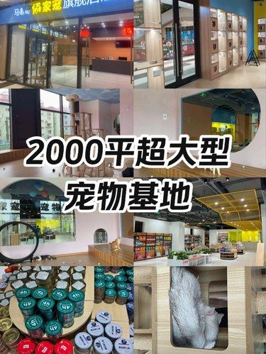 终于找到了我的梦中情宠基地！！