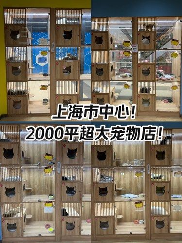 逛不完！根本逛不完！2000平的超大宠物店！