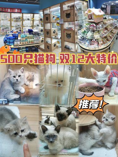 我很少用震撼来形容一个宠物基地。。。