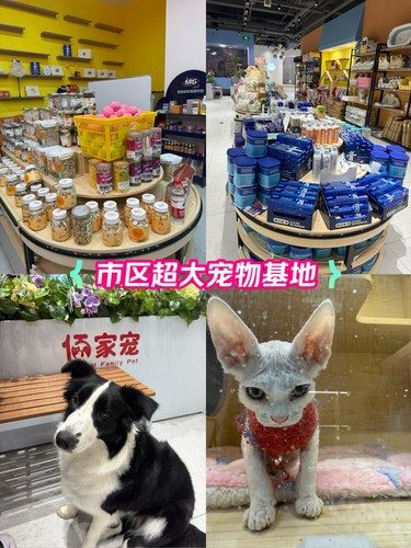 家有萌宠快来围观
