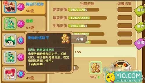 魔力宝贝手游宠物培养心得 宠物培养指南