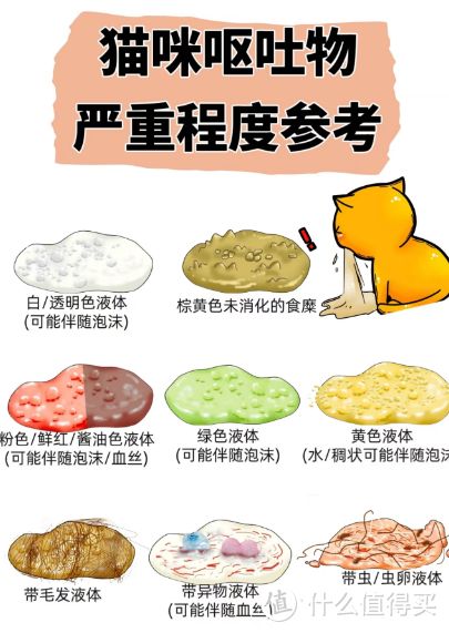 猫猫常见病及预防和养护:守护小猫咪健康指南