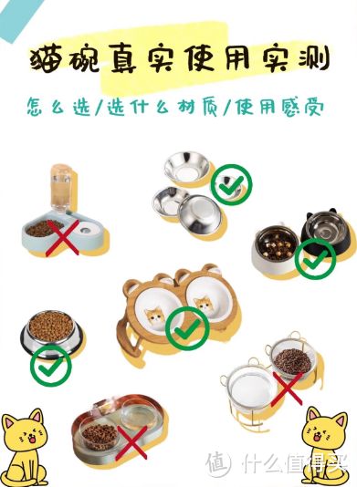 猫猫常见病及预防和养护:守护小猫咪健康指南