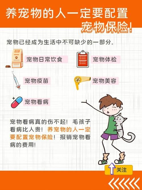 全民养宠物：站式安装配置指南及全方位配置说明手册