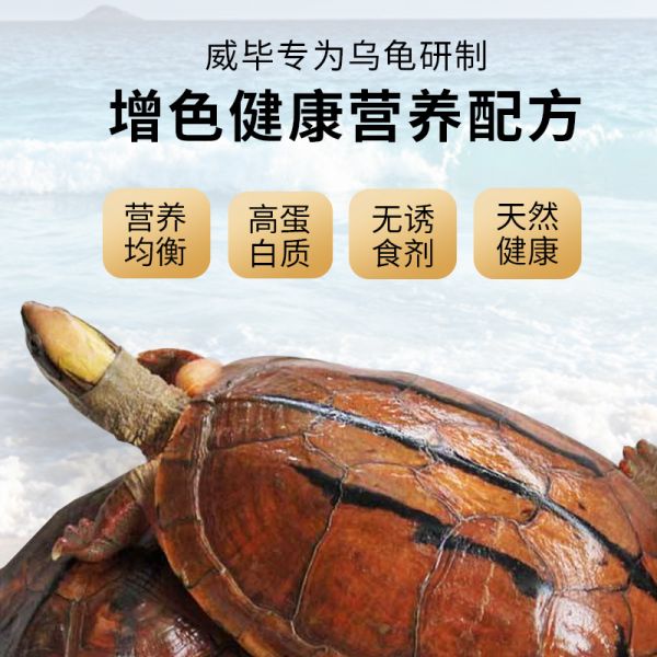 速发金钱龟饲料越南石龟小乌龟专用幼龟料补钙麝香黄喉拟水龟龟粮