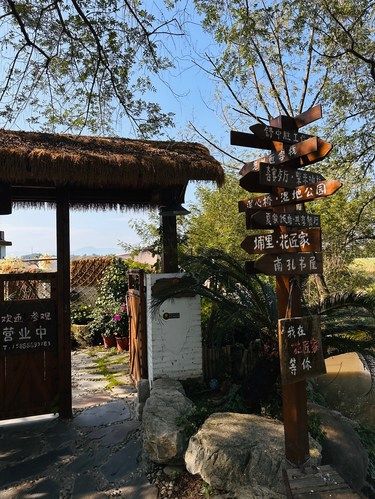 在衢州｜闹中取静的好地方