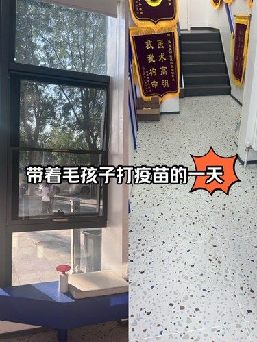 医术超赞 医心更美~