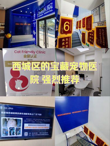 宝藏宠物医院探店记