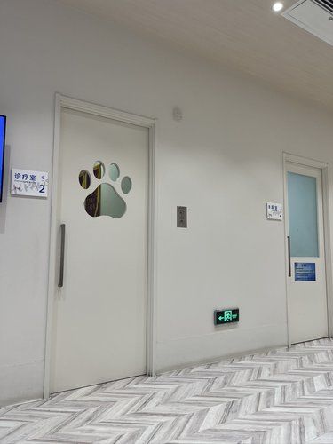 医疗环境超级给力