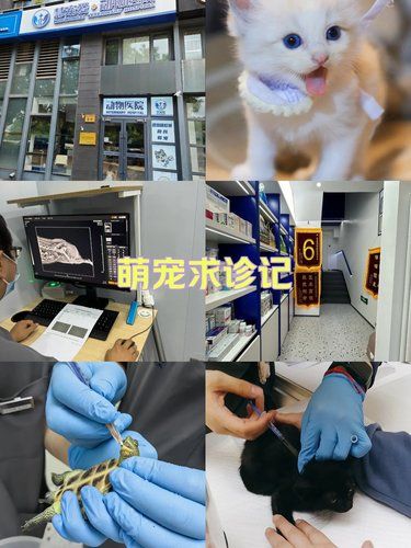 万物皆有灵性，请善待每一个生命。