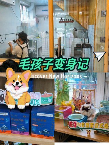 【消灭粑粑和细菌】宝藏宠物洗澡店铺测评