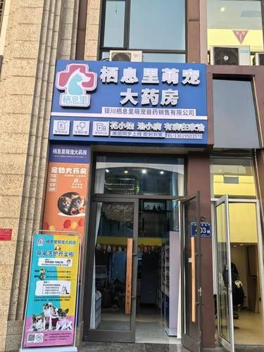 家人们，我发现了一家超棒的宠物洗护店