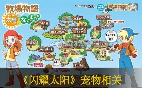 牧场物语闪耀太阳和伙伴们宠物训练攻略