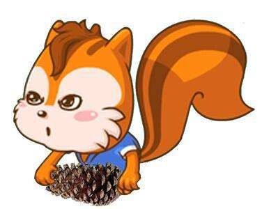 松鼠有哪些特点和本领?养松鼠前必须要知道