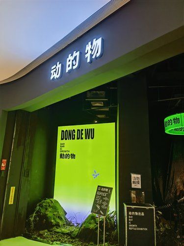 周末带娃好去处！