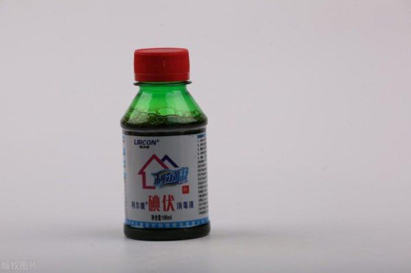 猫脚掌受伤了怎么办？