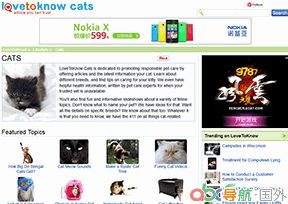 爱知道-猫