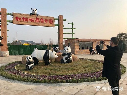眉山萌宠乐园开发，打造最佳宠物休闲目的地