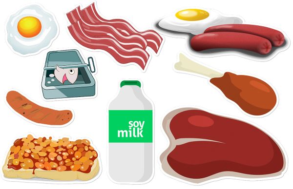 Las proteínas deben constituir un 20% del alimento de los perros