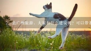 去广州旅游，大家有什么建议呢？可以带着狗狗去吗？