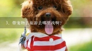 带宠物去旅游去哪里找啊？