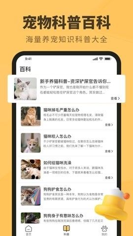 宠物日常手机版